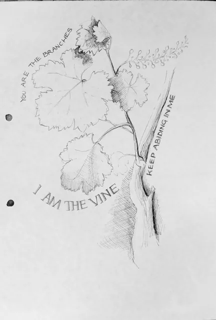 Vine
